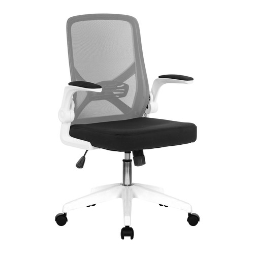 Nautilus oyster medium back - nautilus,