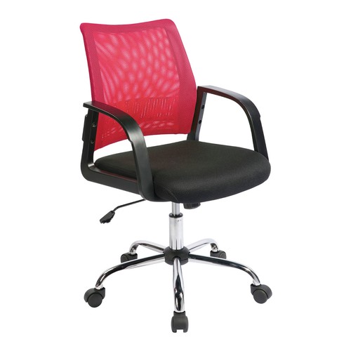 Nautilus calypso medium back - nautilus,