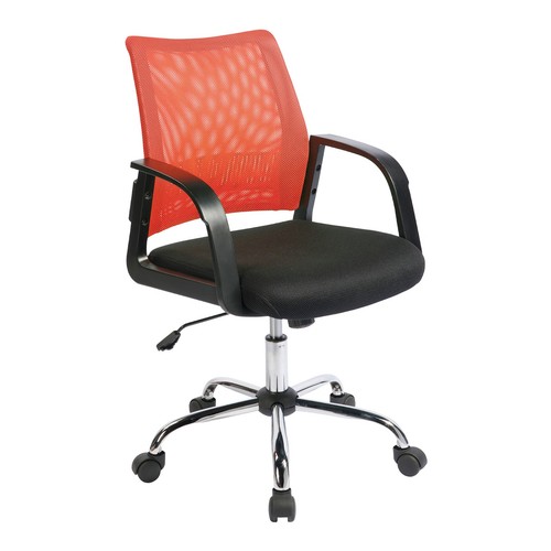 Nautilus calypso medium back - nautilus,