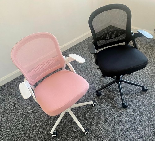 Ergonomic mesh office - a,