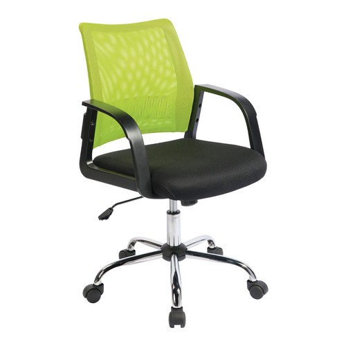 Nautilus calypso medium back - medium,