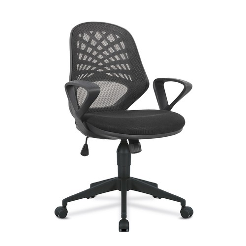 Nautilus lattice medium - medium, back