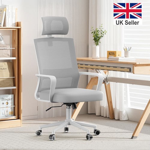 Mesh office ergonomic - mesh, chair